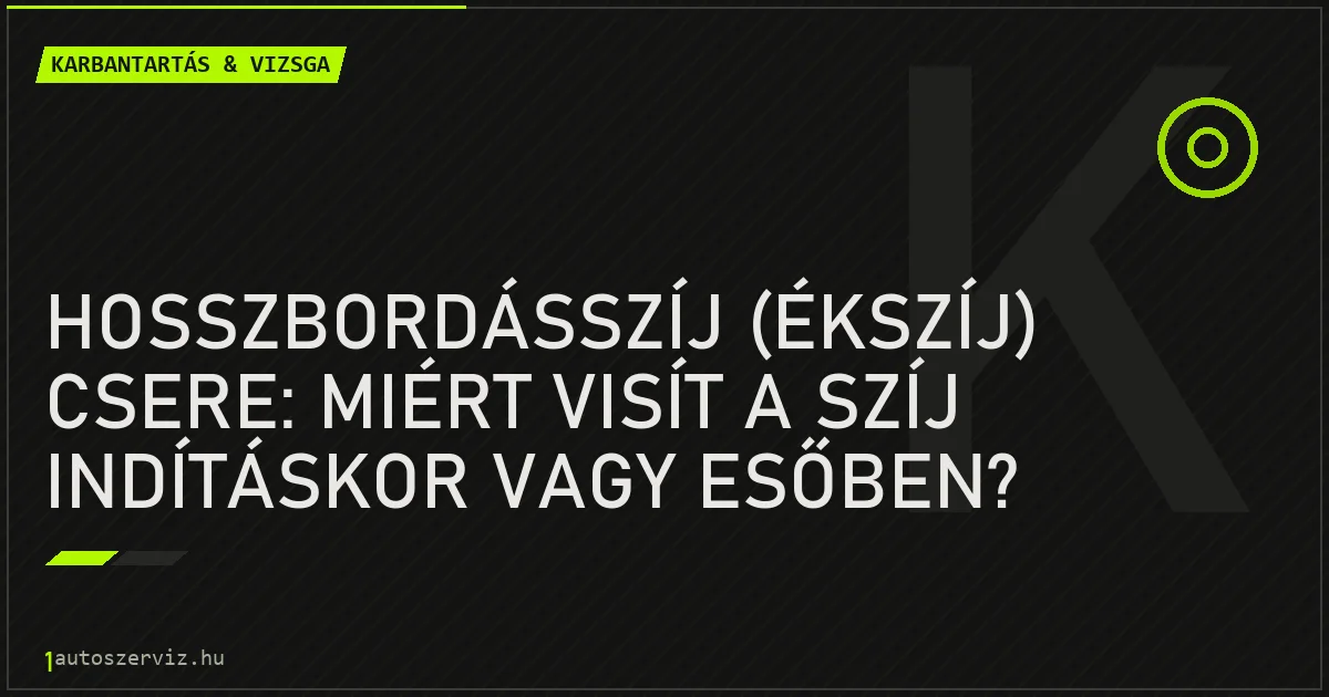 Hosszbordásszíj (ékszíj) csere: Miért visít a szíj indításkor vagy esőben? - autószerviz Budapest