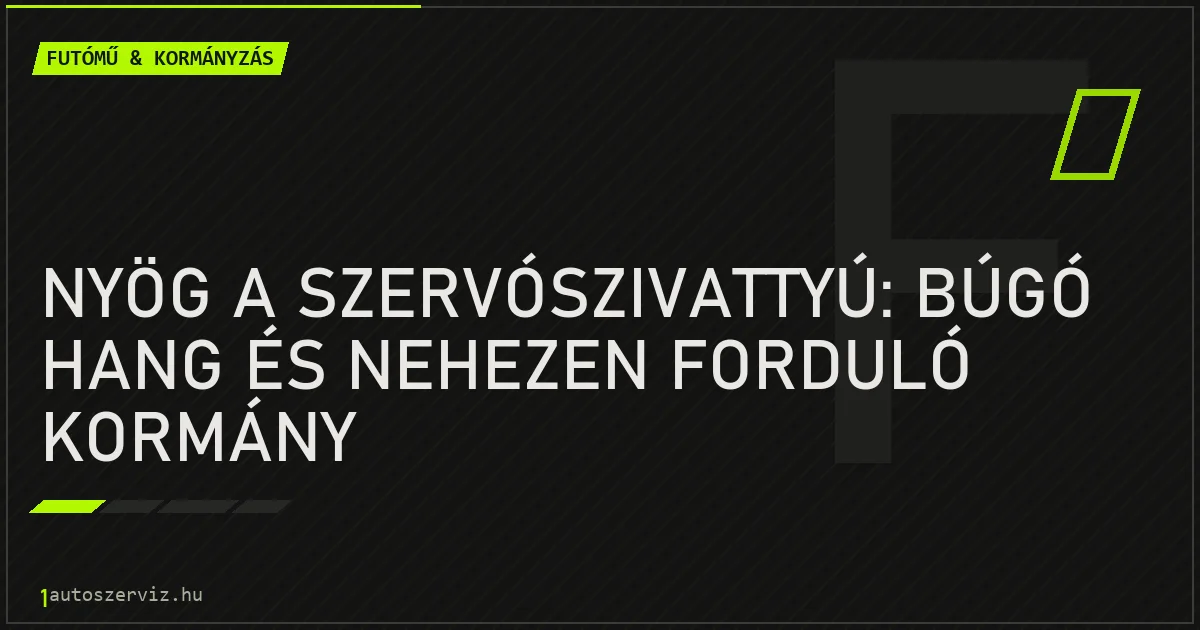 Nyög a szervószivattyú: búgó hang és nehezen forduló kormány - autószerviz Budapest
