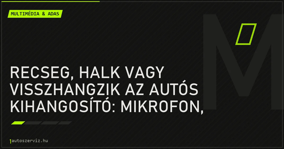 Recseg, halk vagy visszhangzik az autós kihangosító: mikrofon, szoftver vagy a telefon? - autószerviz Budapest