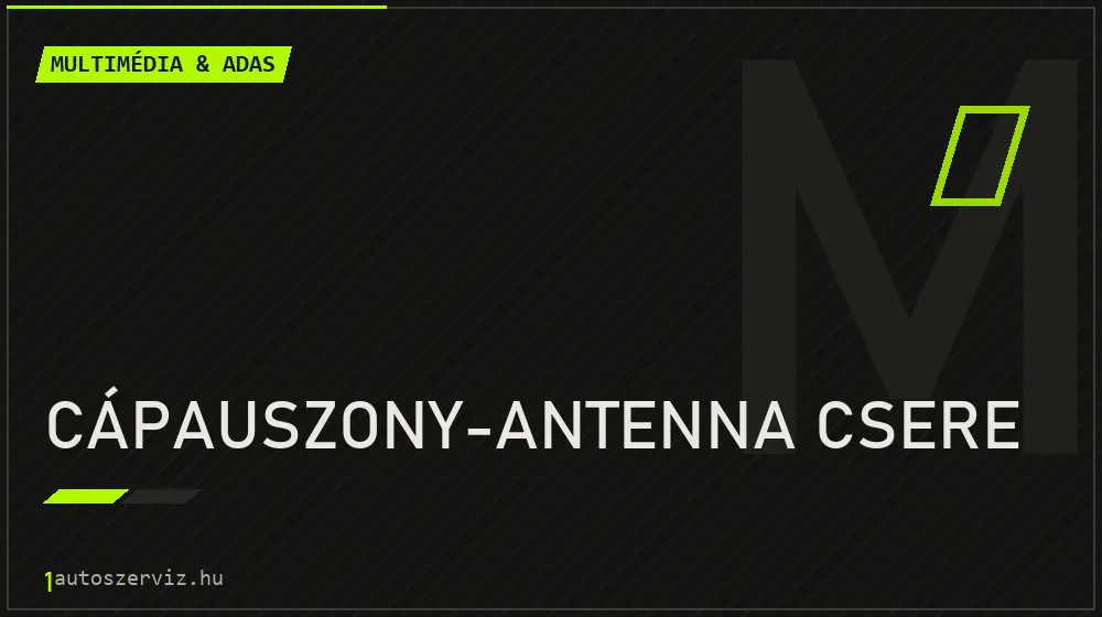 Cápauszony-antenna csere javítás - multimédia- és asszisztensrendszer-javítás