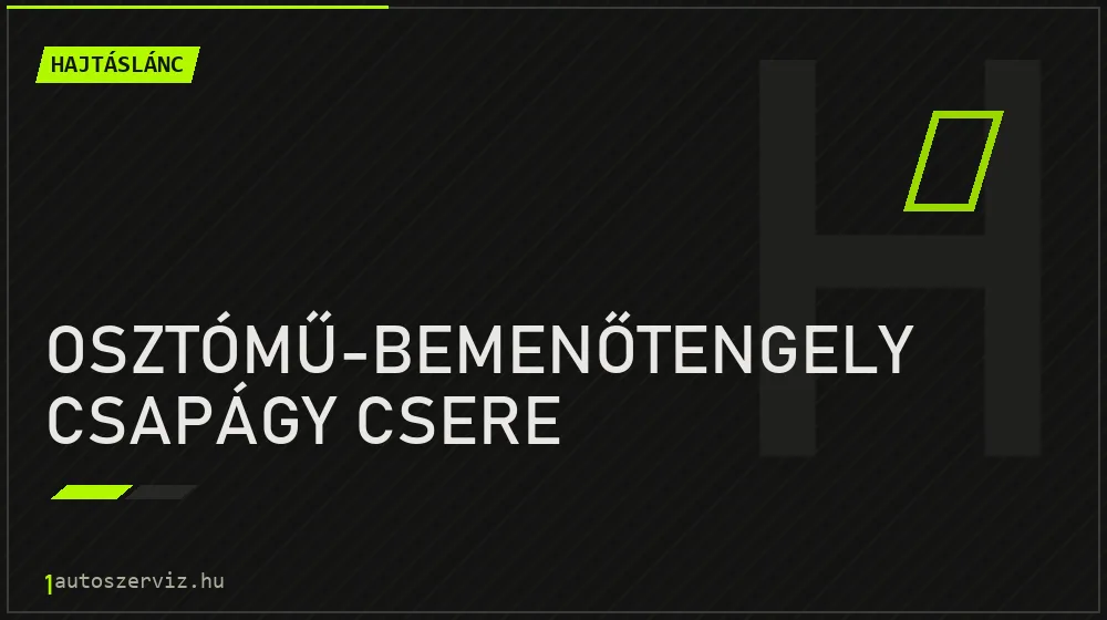 Osztómű-bemenőtengely csapágy csere - Hajtáslánc Budapesten