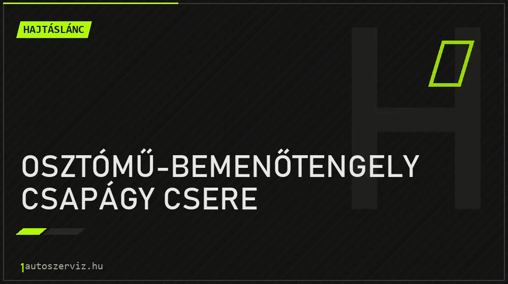 Osztómű-bemenőtengely csapágy csere javítás - hajtáslánc-javítás