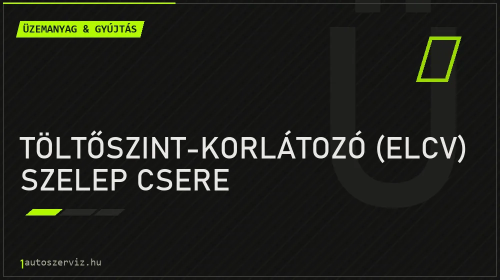 Töltőszint-korlátozó (ELCV) szelep csere - Üzemanyag & gyújtás Budapesten